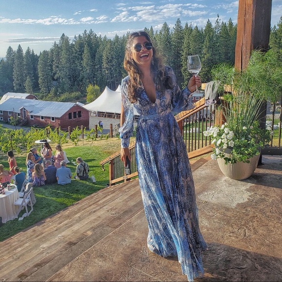 Alice + Olivia Blue and White Maxi Dress - Picture 4 of 9